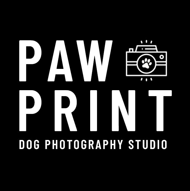 Paw Print Studio - Connecticut Pet Photography Studio