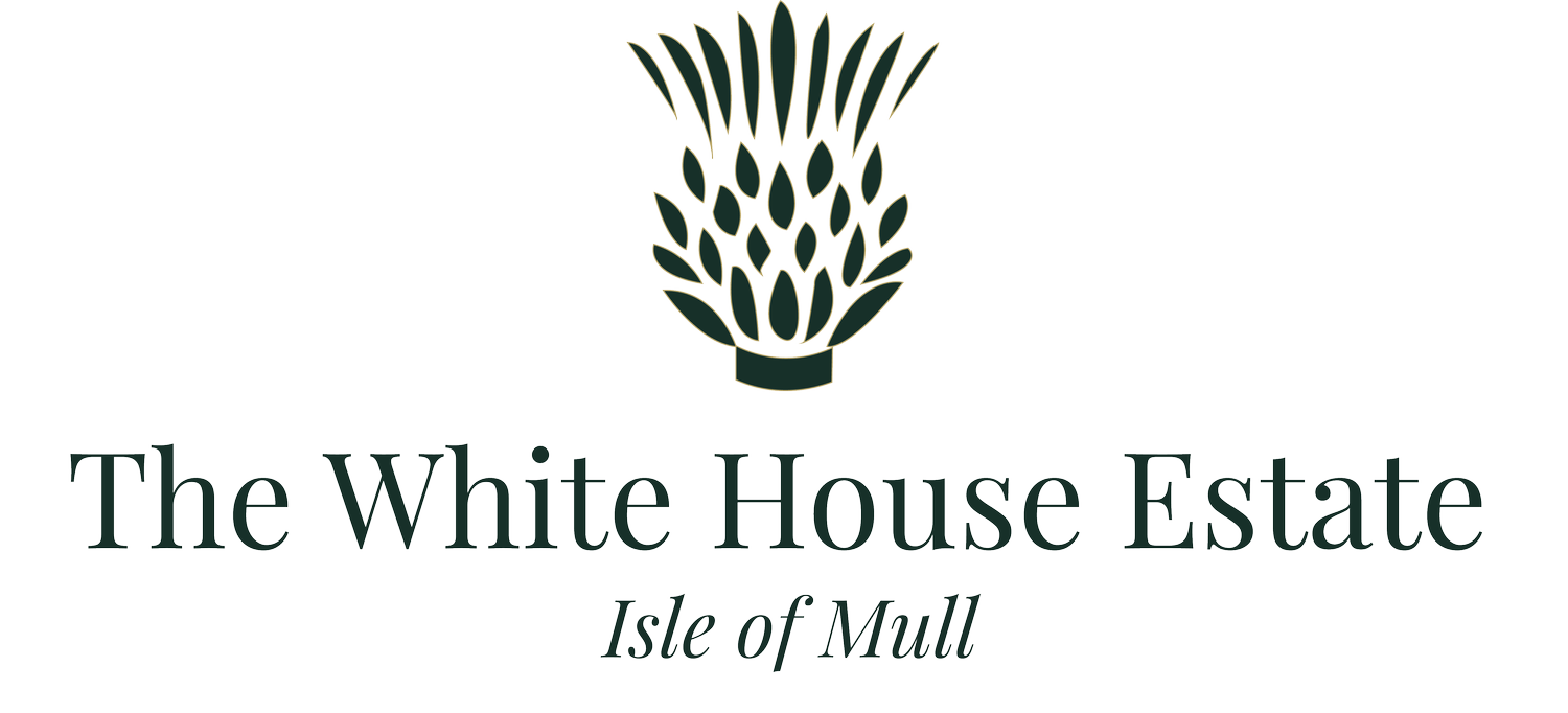 The White House Estate