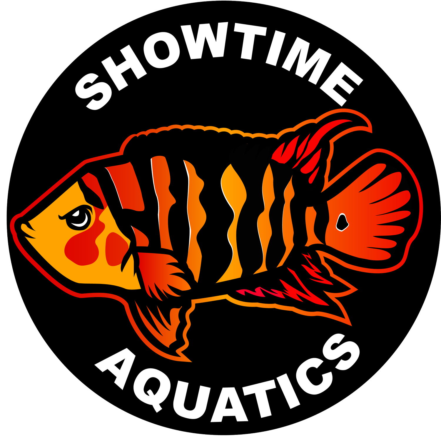 Showtime Aquatics