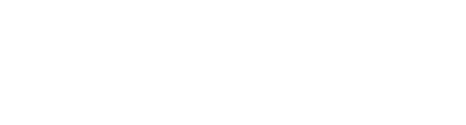 Guardian Rebellion