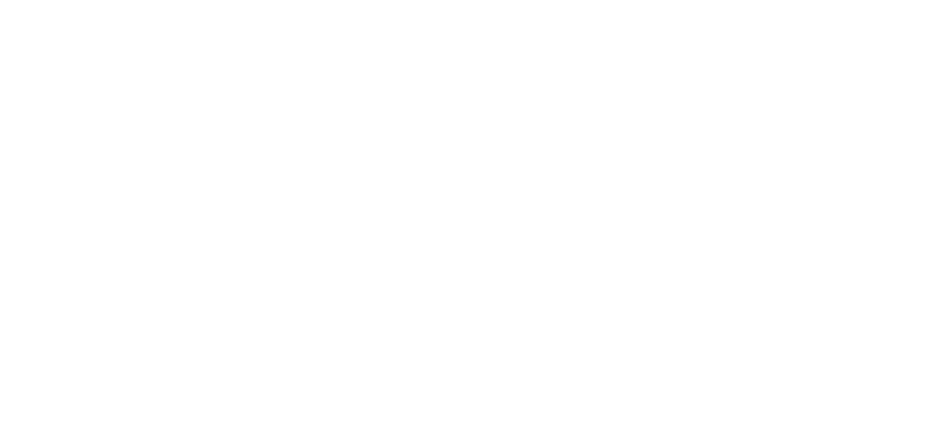 DIG