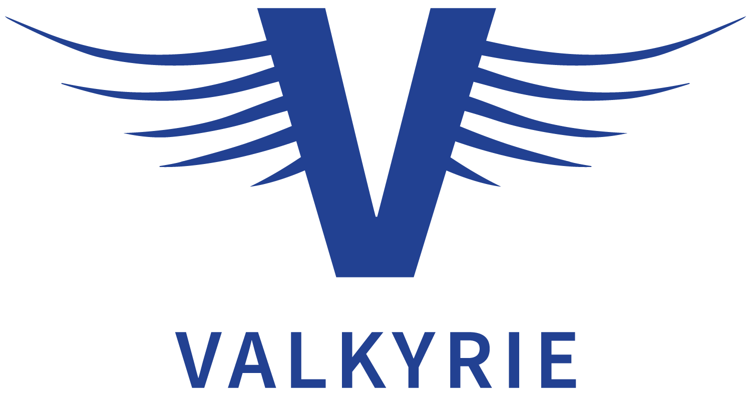 Valkyrie Support Services Website