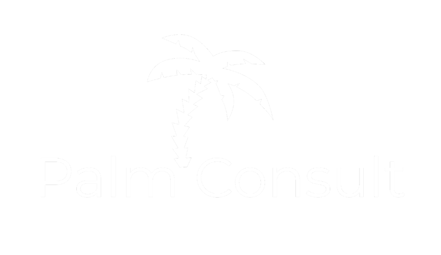 Palm Consult