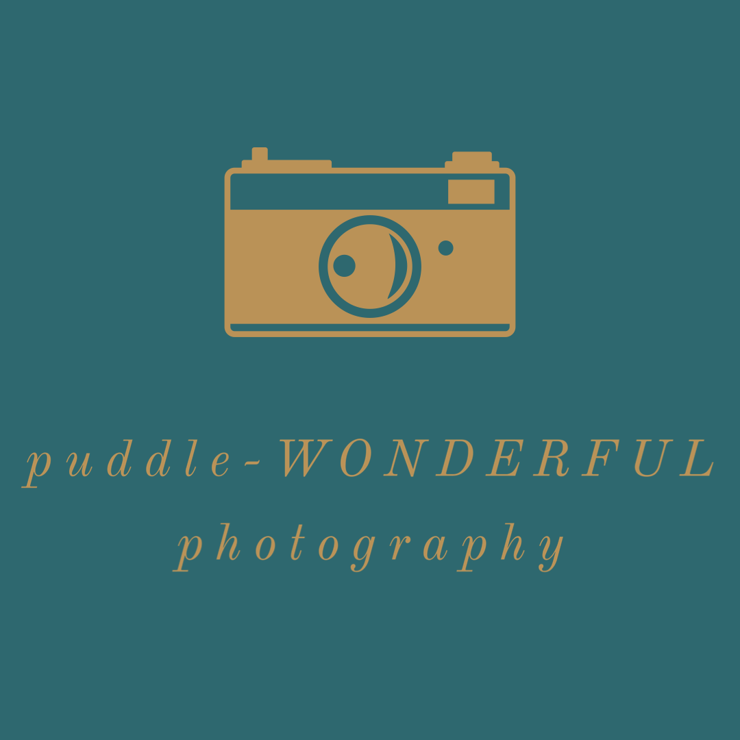 puddle-WONDERFUL photography