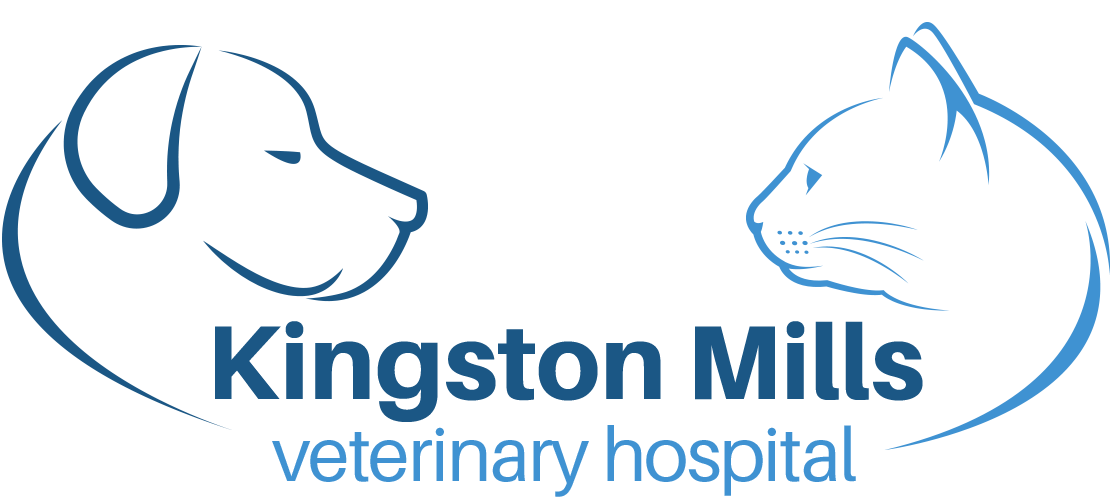 Kingston Mills Veterinary Hospital