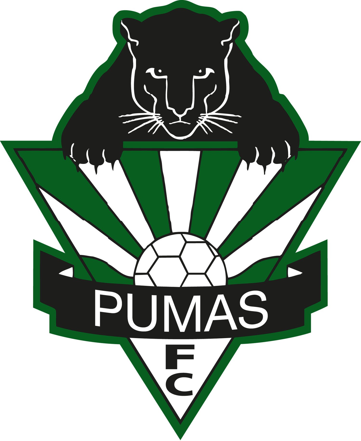 HILLS PUMAS FC