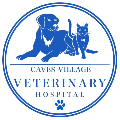 Caves Village Veterinary Hospital 