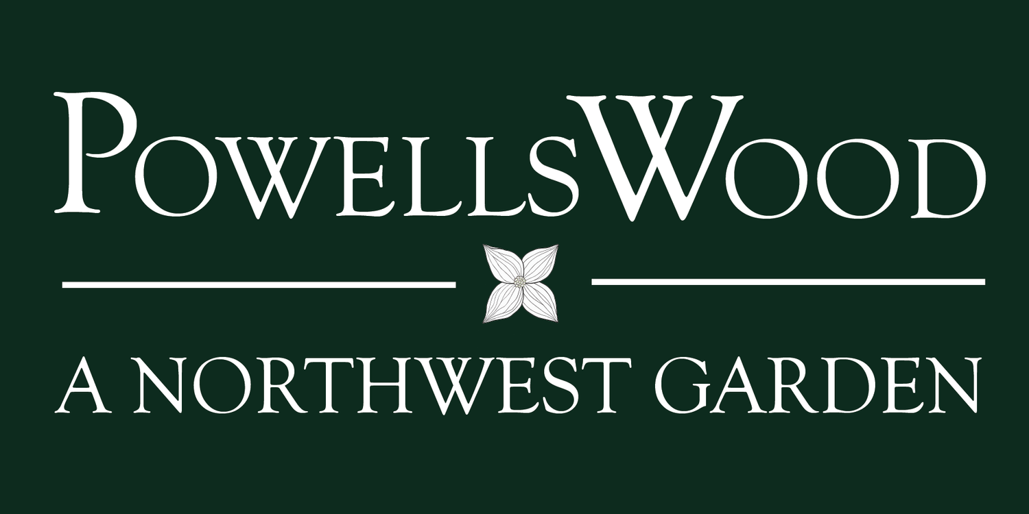 PowellsWood Garden- Botanical Oasis in Federal Way, WA