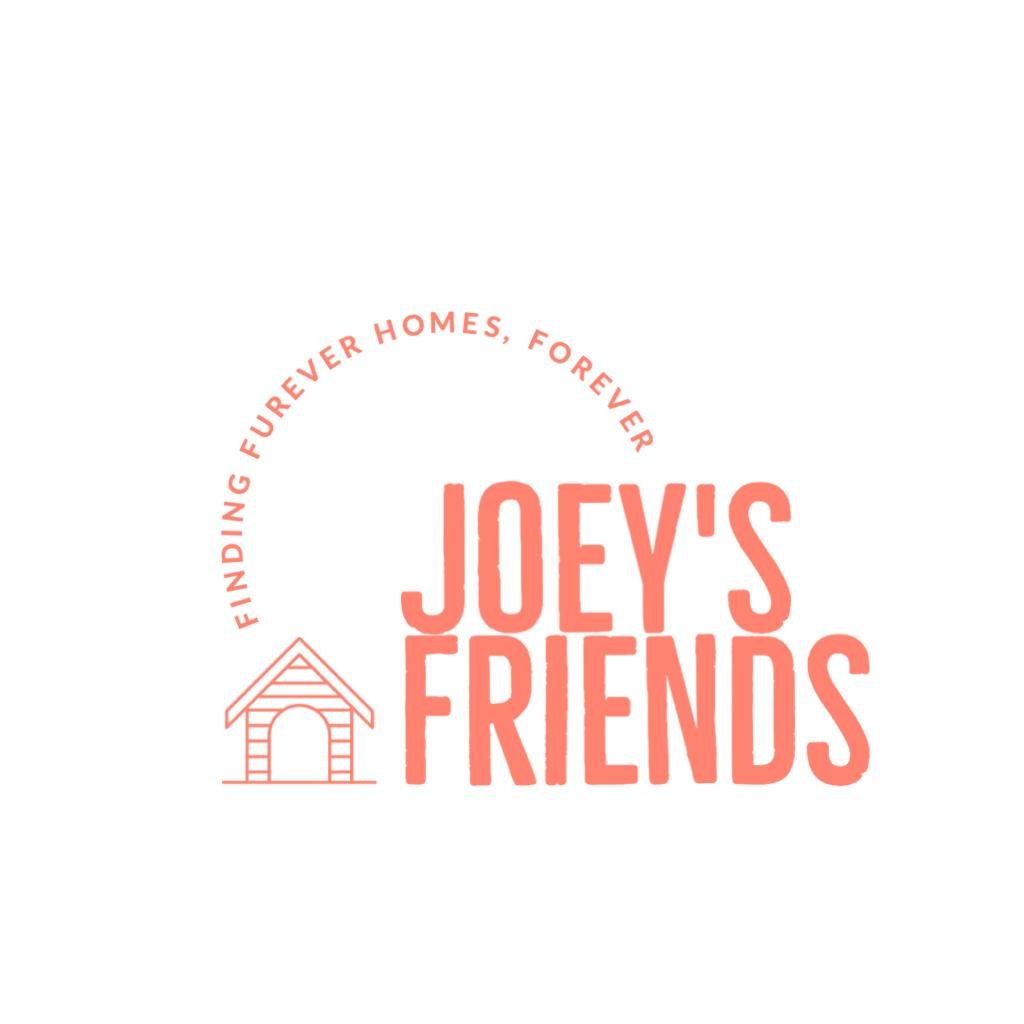 Joey&#39;s Friends