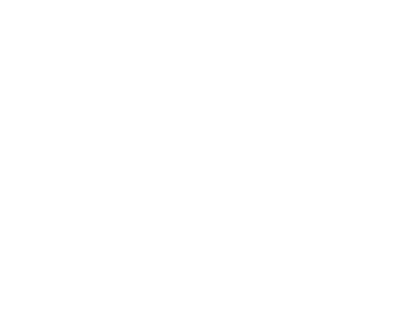 W Construction