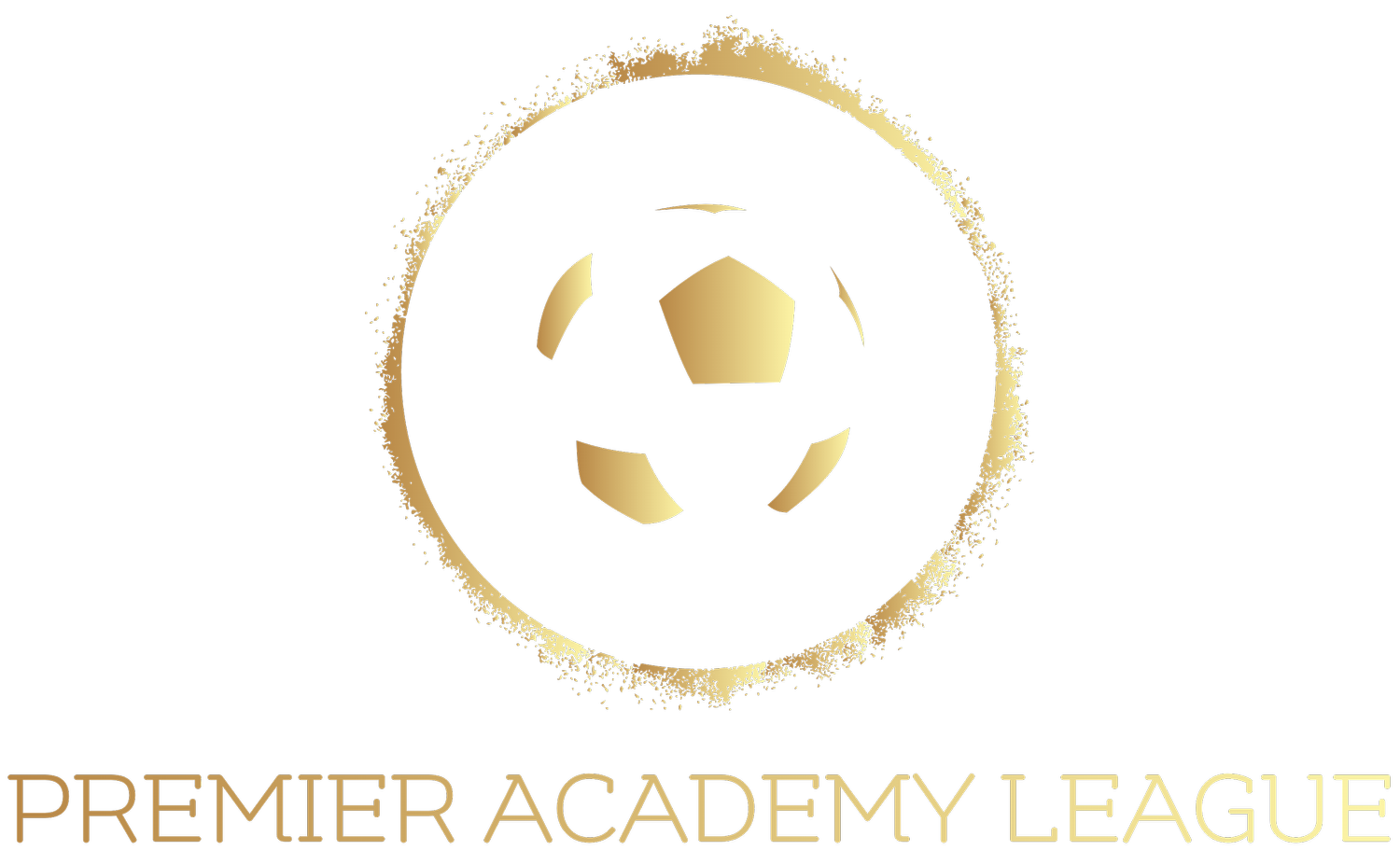 Premier Academy League