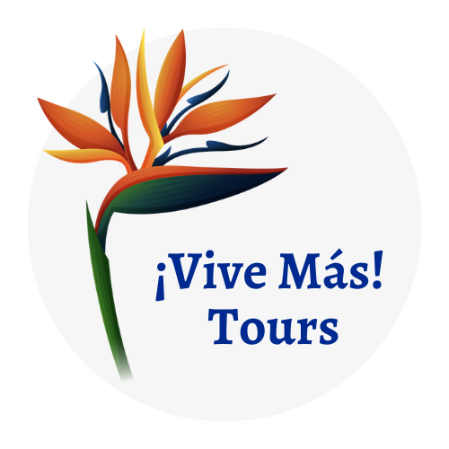 Vive Mas Tours