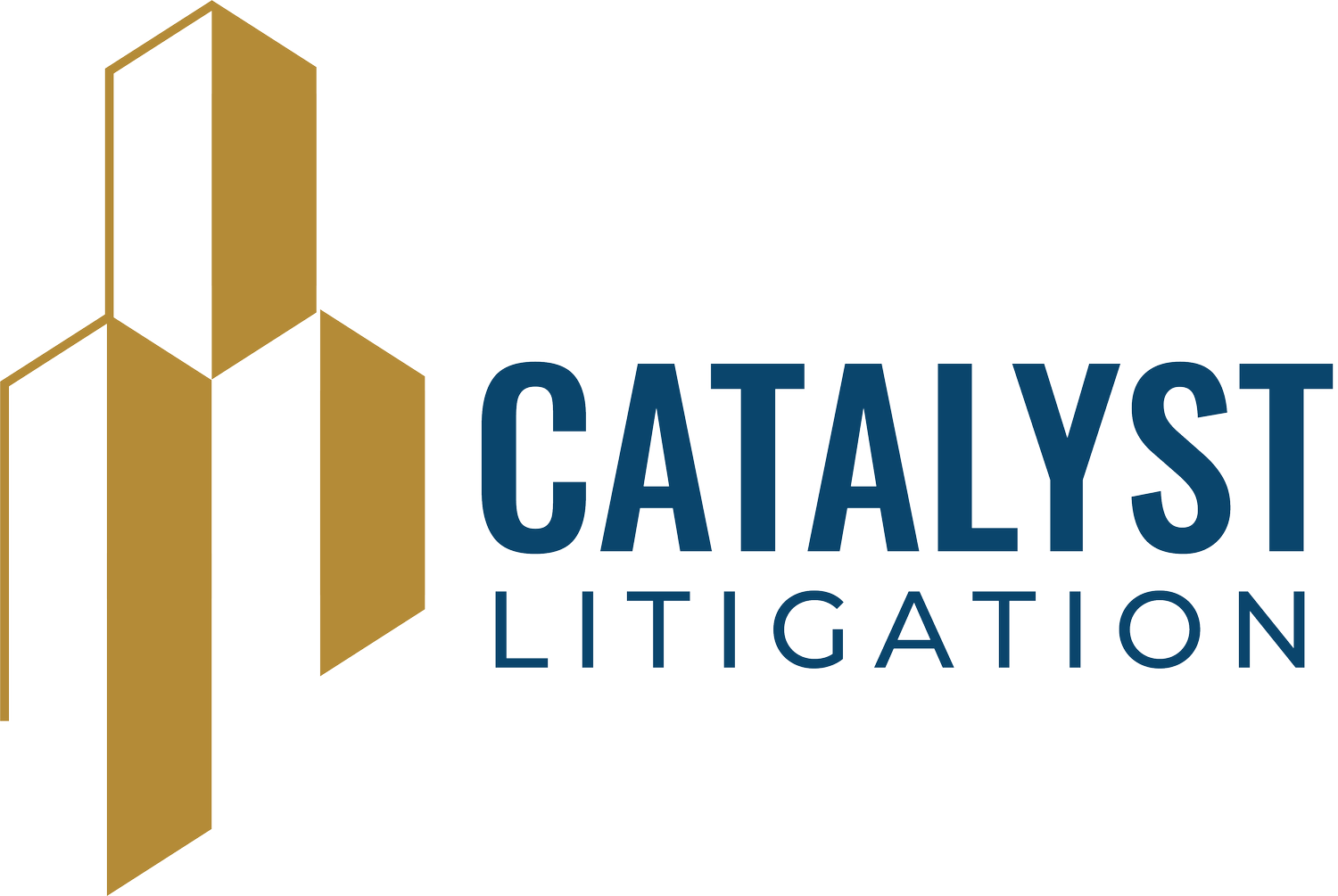 Catalyst Litigation