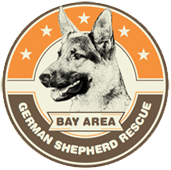 Bay Area German Shepherd Rescue