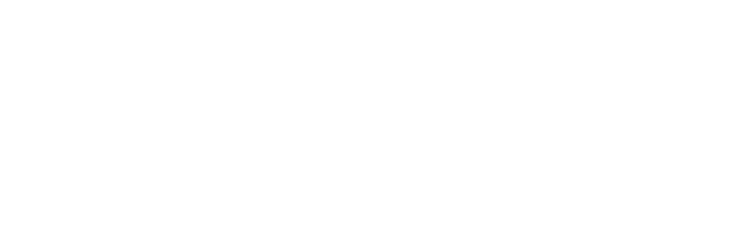 sarah selvidge