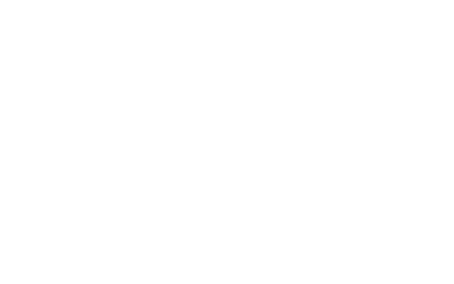 L I AM THE BRAND