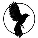 Mockingbird Tattoos