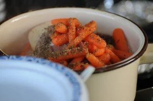 Campfire chicken stew