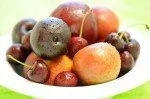 Summer tree fruit