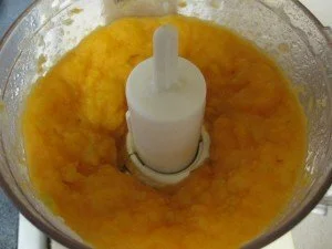 Pureed Veggies