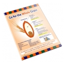 Go for the Whole Grain Handout