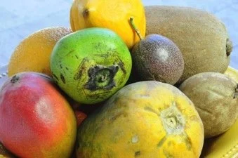 tropical fruits