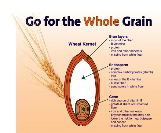 whole grain kernel