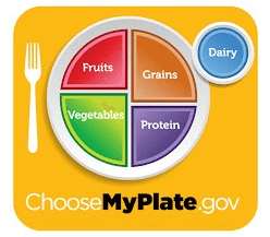 Let MyPlate be your lunch guide