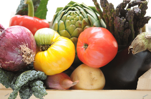 A Gardener's Bounty