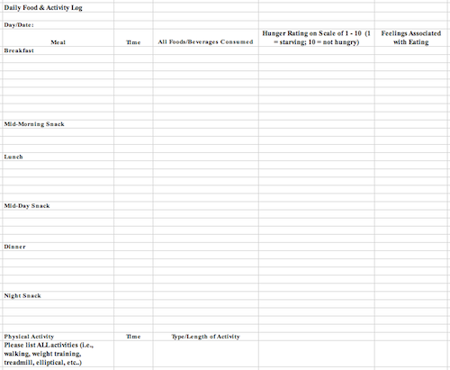 Sample Food Log