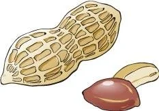 Peanut2
