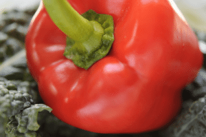 Pepper Month