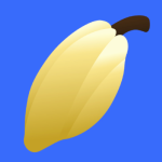 This is a cocoa bean.