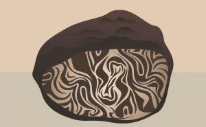 Black Truffle