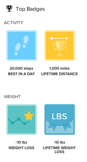 Fitbit Badges Earned