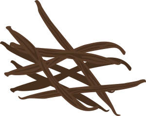 Vanilla Pod