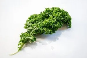 Kale Leaf