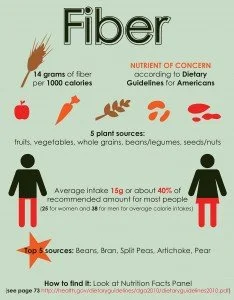 Fiber Infographic