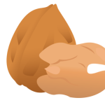 WALNUTS