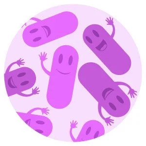Happy Gut Bacteria