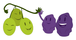 Grapes and Raisins