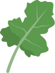 Siberian Kale