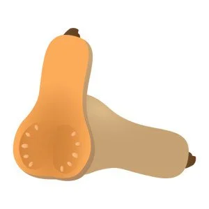 Butternut Squash