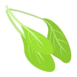 Mustard Greens