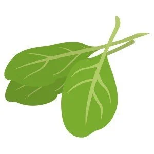 Spinach