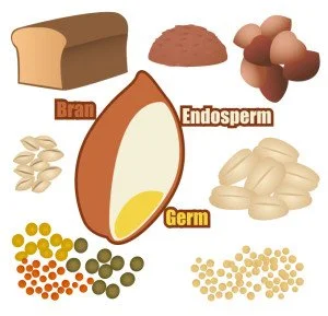 What Are Whole Grains?