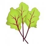 Beet Greens
