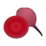 Red Beet