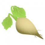 Sugar Beet