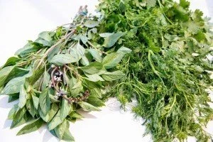 Fun with Aromatics!